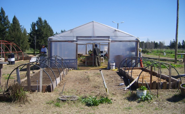 Imagen invernadero - Agricultura en Casa